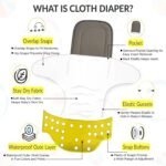 GLUN® Reusable Baby Cloth Diapers Combo, Pack of 2 Shiny Blue Colour Comfort & Protection, Leakproof & High Absorption - Image 7