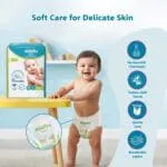 Amazon Brand - Supples Premium Baby Diaper Pants | 62 Baby Diapers | Large | 9-14 Kg | 12 Hrs Absorption | Cushiony Cotton Soft Fabric | Phthalates-Free | Triple Leak Guard - Image 4