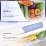 Godrej 180L 1Star 5 Years Comprehensive Warranty | New Launch | Advanced Capillary Technology| Jumbo Vegetable Tray| 2.25L Bottle Space Single Door Refrigerator (RD EDGE 205AN WRF PP BL, Pep Blue) - Image 4