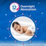 Little's Baby Diapers S Size (Small) Pants Style | 4-8 kg | 40 Count | Comfy Nights Baby Diaper Pants with Leakage Guard & Upto 12 Hours Absorption (40 Count, Pack of 1) - Image 3