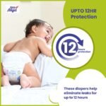 Little Angel Extra Dry Baby Pants Diaper, Extra Large (XL) Size, 56 Count, Super Absorbent Core Up to 12 Hrs Protection & Wetness Indicator, Pack of 1, Over 12kg - Image 4