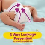 Pampers Active Baby Tape Style Baby Diapers, New Born/Extra Small (NB/XS) Size, 72 Count, Adjustable Fit with 5 star skin protection, Up to 5kg Diapers (Pack of 2) - Image 2