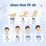 Bumtum Baby Diaper Pants, XXL Size, 52 Count, Double Layer Leakage Protection Infused With Aloe Vera, Cottony Soft High Absorb Technology - Image 8