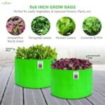 Anandi Green's HDPE UV-Protected 260 GSM Round Green Colour Plant Bags Suitable for Terrace and Vegetable Gardening 9X6 Inch Pack of 10 - Image 3