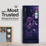 LG 185 L, 4 Star, Smart Inverter, Direct Cool Single Door Refrigerator (GLD1945ZOBE, Blue Euphoria, Base stand with Drawer) - Image 12