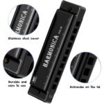 Harmonica Mouth Organ C Key 10 Hole 20 Tone | Professional Blues Harmonica with Titanium Copper Core | Portable Musical Instrument for Beginners Kids & Adults | Clear Sound Durable Build - Image 3