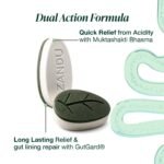 Zandu Good Gut Acidity & Bloating Relief Tablets | Clinically Proven | Instant & Long-Lasting Relief | Non-Habit Forming, 30 Tablets - Image 2