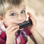 Harmonica Mouth Organ C Key 10 Hole 20 Tone | Professional Blues Harmonica with Titanium Copper Core | Portable Musical Instrument for Beginners Kids & Adults | Clear Sound Durable Build - Image 5
