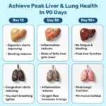What's Up Wellness Lung & Liver Detox Supplement for Fatty Liver, Capsules with Milk Thistle, 600mg NAC Supplement & Curcumin | Supports Lung Health, 30 Capsules - Image 3