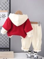 Googo Gaaga Boys Cotton Fleece Printed Hoodie Sweatshirt with Joggers in Clothing Set | Winter Fleece Fabric | Full Sleeves - Image 3