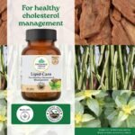 A TATA Product - Organic India Lipid Care Capsules, 60 Capsules - Image 3