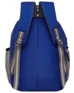 perfect star Polyester Kids School Bags for 2-5 Years 30 Litres, Cartoon Print, for Nursery to 5th Standard Boys and Girls Tuition Lightweight Picnic Bag Royal Blue - Image 9