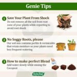 Garden Genie 5-in-1 Potting Soil Mixture | Makes 10 Kg of Soil for Plants - Image 8