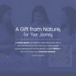Mother Sparsh Natural Care Gift Set for Babies | Baby Gift Box of 5 | Baby Wipes (40Pcs), Baby Lotion (100ml), Baby Head to Toe Wash (100ml), Baby Shampoo (100ml) & Baby Soap (75g) - Image 5