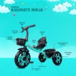 Kidsmate Ninja Plug N Play Durable Kids/Baby Tricycle, Safe & Secure, Storage Basket, Cushion Seat and Seat Belt for 12 Months to 48 Months Boys/Girls/Carrying Capacity Upto 30 Kgs (Sea Green) - Image 3