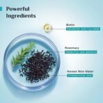 Pilgrim Korean Black Rice and Rosemary Water Spray With Biotin for Hair Growth 100ml | Hair Spray for Regrowth | Thicker & Stronger Hair | Sulphate & Paraben Free I For Women & Men - Image 5