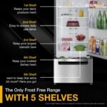 Whirlpool 235 L Frost Free Triple-Door Refrigerator | Zeolite Technology | Microblock Technology(FP 253D PROTTON ROY RADIANT STEEL(Z), Up to 44% Reduction in Cold Air Loss*] - Image 3
