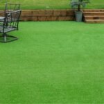 American Imported Bermuda Lawn Grass Seed, All-Season Mix, Natural Green Coverage, Pack of 3000+, for Home and Gardening - Image 2