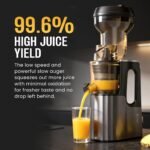 Rico Cold Press Slow Juicer with Ice Cream Maker | 5 Years Motor Warranty | Slow Juicer for Fruits, Vegetables & Nut Milk | 10% More Juice, Less Waste | Low Noise | Anti-Drip | Easy to Clean - Image 5