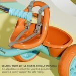 Lifelong Trike Cycle for Kids 2-5 Years - Tricycle for Boys & Girls - Bicycle with 3 EVA Wheels, Bell & Toy Basket - 30 kg Capacity (Green & Tan) - Image 3