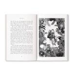 Grandma's Bag Of Stories: Collection of 20+ Illustrated short stories, traditional Indian folk tales by Sudha Murty - Image 4