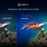 Toshiba 126 cm (50 inches) E350SP Series 4K Ultra HD Smart LED Google TV 50E350SP - Image 11