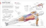 Science of Strength Training: Understand the Anatomy and Physiology to Transform Your Body - Image 8