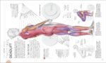 Science of Strength Training: Understand the Anatomy and Physiology to Transform Your Body - Image 7