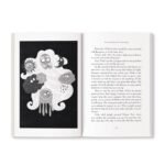 Grandma's Bag Of Stories: Collection of 20+ Illustrated short stories, traditional Indian folk tales by Sudha Murty - Image 7