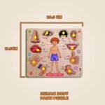 Lefan Body Part Puzzle Kids Wooden Toys for Kids 3 + Jigsaw Puzzles for Adults Baby Learning Toys Educational Toys for 2 Board Game - Image 3