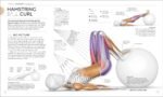 Science of Strength Training: Understand the Anatomy and Physiology to Transform Your Body - Image 6