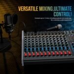 Dabeatz SM120E Professional 12 Channel Audio Mixer, Stereo Echo DJ Sound Mixer for Parties, Stage Effects, Weddings, Karaoke & Studio Recording,Diwali Giving Your Occasion an Impressive Output - Image 2