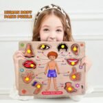 Lefan Body Part Puzzle Kids Wooden Toys for Kids 3 + Jigsaw Puzzles for Adults Baby Learning Toys Educational Toys for 2 Board Game - Image 4
