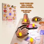 Lefan Body Part Puzzle Kids Wooden Toys for Kids 3 + Jigsaw Puzzles for Adults Baby Learning Toys Educational Toys for 2 Board Game - Image 5